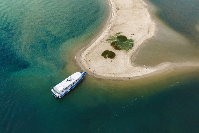 Culturele cruise in kleine groep langs de Gold Coast en Wavebreak IslandCulturele cruise in kleine groep langs Gold Coast en Wavebreak Island