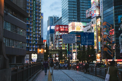 Tour privato di Tokyo di un giorno in auto con autista inglese