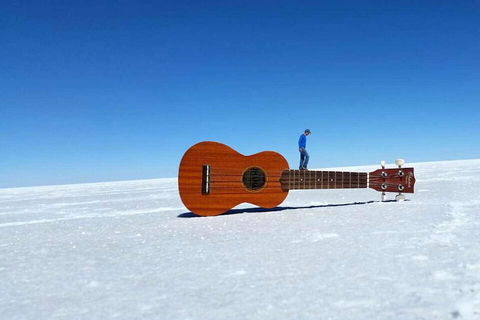 Depuis Uyuni : salines d&#039;Uyuni et île d&#039;Incahuasi Journée complète