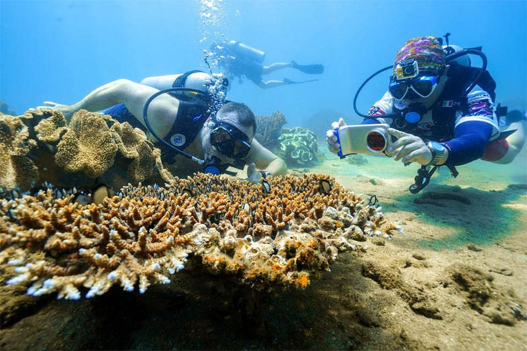 Da Nang: Escursione in barca sull&#039;isola di Cham con snorkeling e pranzo