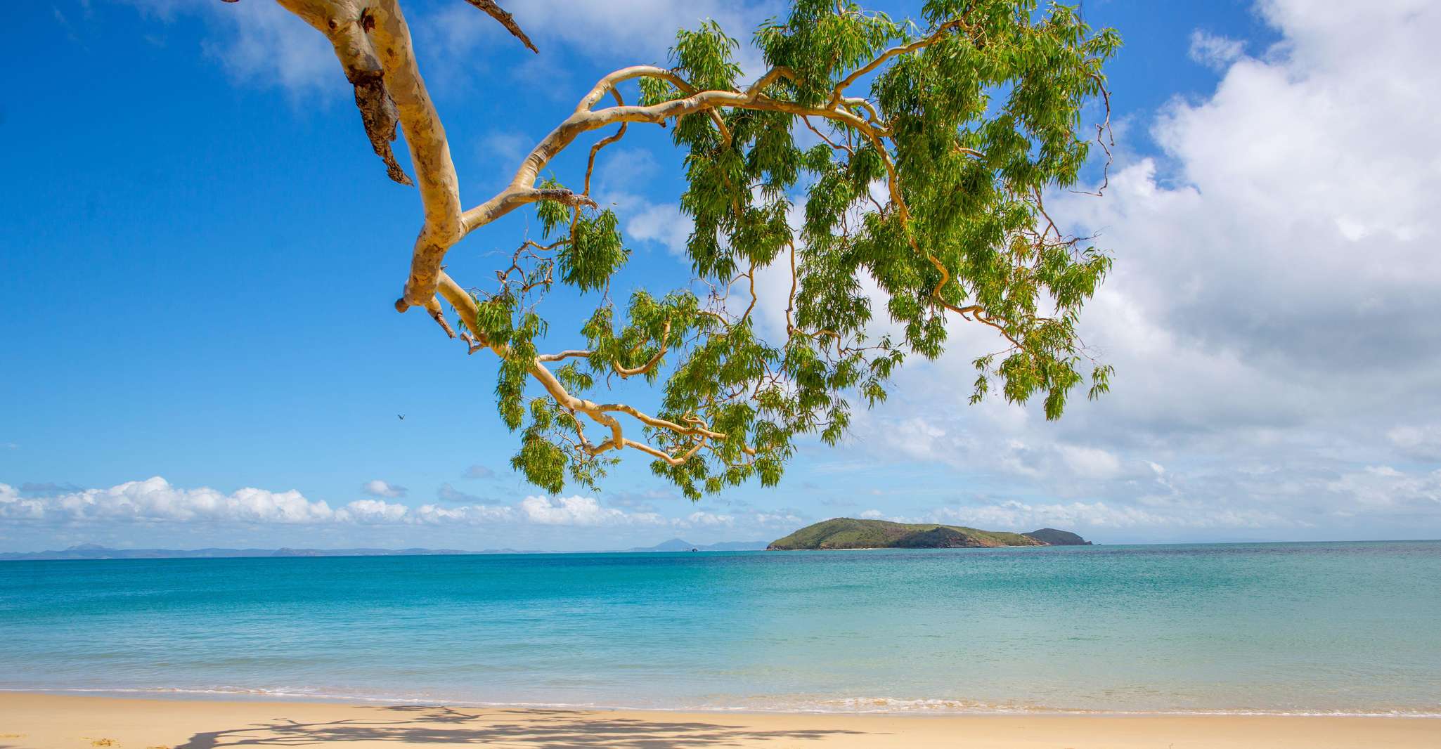 Great Keppel Island Day Trip with Lunch - Hizvo