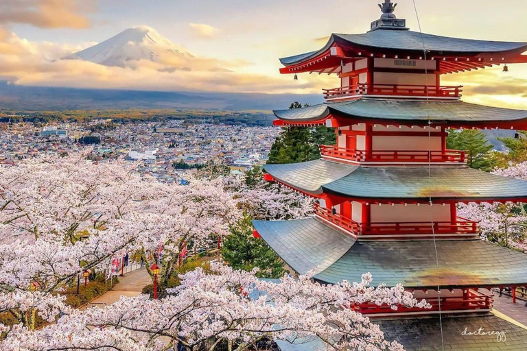 Tokyo: Tour privato di una giornata imperdibile al Monte Fuji e ai laghi