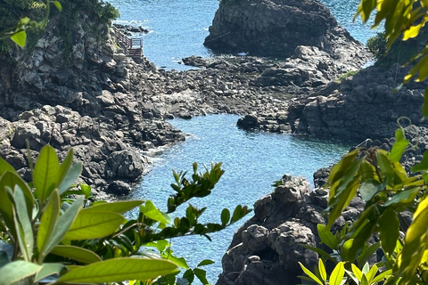 Jeju Sud : Visite en petit groupe d&#039;une journée à l&#039;UNESCO pour la guérison