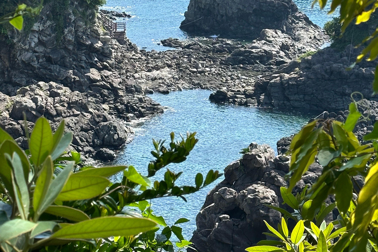 Jeju Zuid: Helende UNESCO Tour in kleine groep