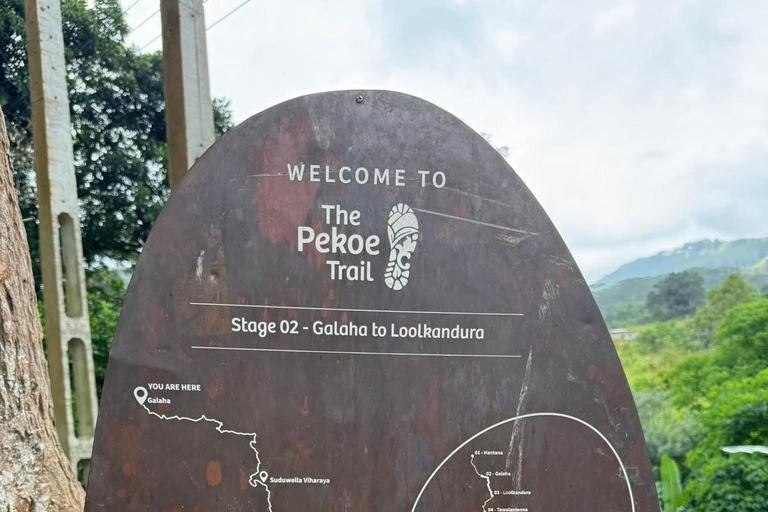 Kandy: Sir James Taylor’s Loolkandura Tea Heritage Hike