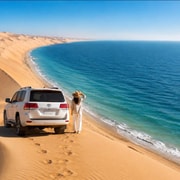 Doha: Inland Sea Tour, 4x4 Desert Safari/All Activities
