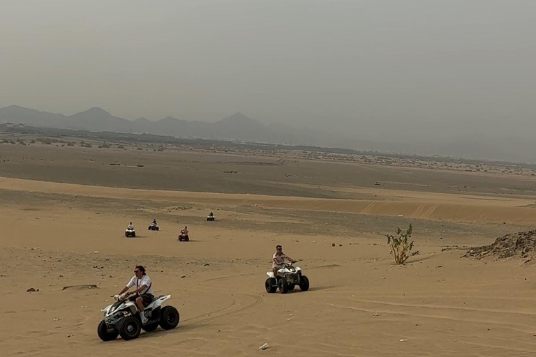 From Jeddah: Desert Tour with Camel Farm Visit & Sunset Tea
