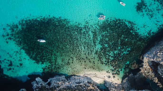 Sliema o la Bahía de San Pablo: Lo Mejor de Gozo y Comino Excursión de un día