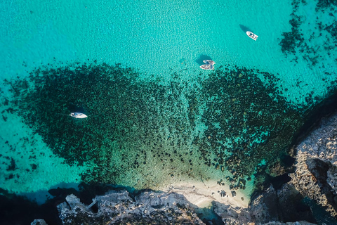 Malta: 9 Bays Cruise with Traditional Ftira and Transport