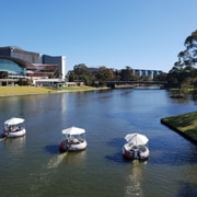 Adelaide River Torrens 2-Hour BBQ Boat Hire