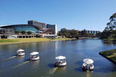 Adelaide River Torrens 2-Hour BBQ Boat Hire - Image 3