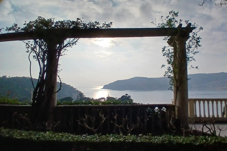 Nice: tour of three iconic villas in saint-jean-cap-ferrat