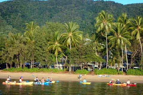 Palm Cove: Guided Half Day Turtle Kayak Tour