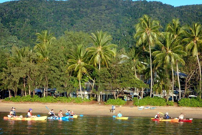 Palm Cove: Guided Half Day Turtle Kayak Tour