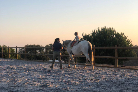 Costa Alentejana: Horse tour in Serra de Grândola