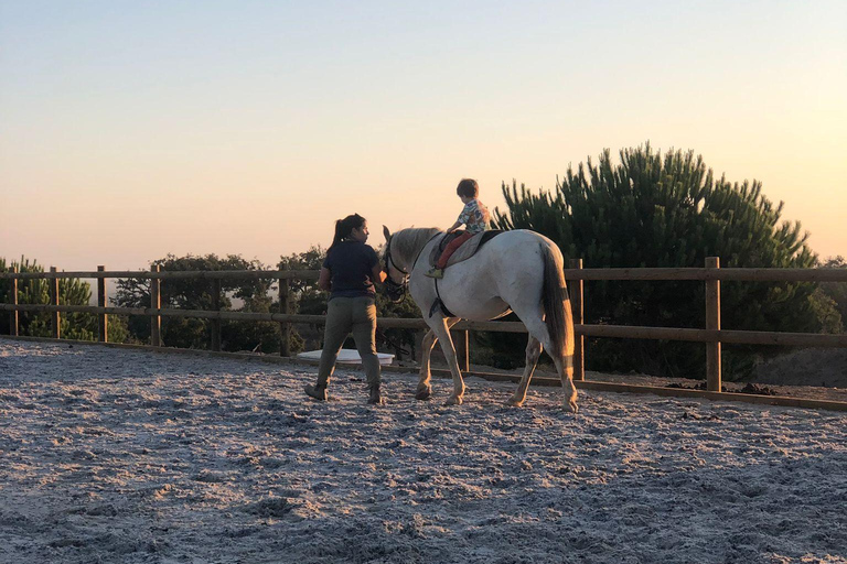 Costa Alentejana: Horse tour in Serra de Grândola