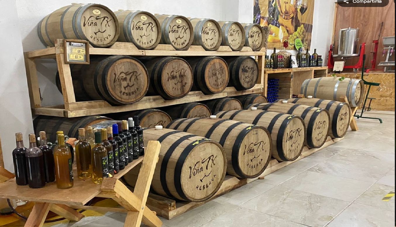 Querétaro mit Wein und Käse: Entdecke Tequisquiapan und seine Geschmacksroute