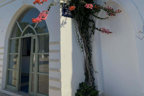 Djerba Explore: Crocodile Park & Lalla Hadria Museum Tour