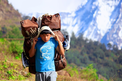 Ghorepani Poon Hill Ghandruk Trek With Guide ghorepani Poon Hill Ghandruk Hike