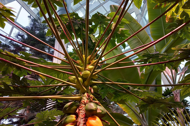 Tallinn TV tower and Botanic garden (a tour with a guide)