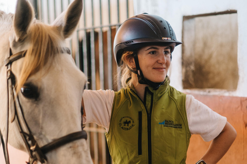 Horseback ride around Doñana National Park Horseback riding around Doñana National Park