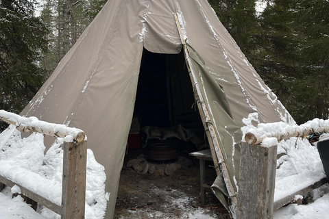 Rovaniemi : Randonnée guidée des chutes d'eau gelées du canyon de Korouoma