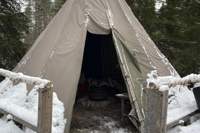 Rovaniemi : Randonnée guidée des chutes d'eau gelées du canyon de Korouoma