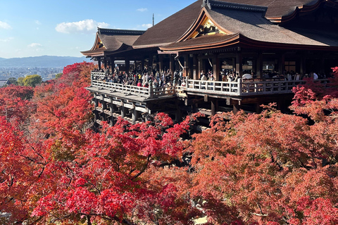 Kyoto Tour: Sanjusangendo, Kiyomizudera, Yasaka Pagoda och Ginkakuji.