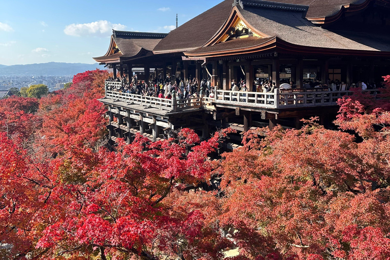 Wycieczka po Kioto: Sanjusangendo, Kiyomizudera, pagoda Yasaka i Ginkakuji.