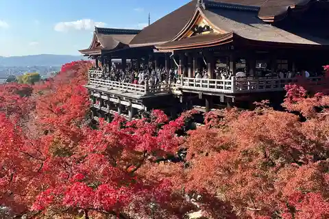 Kyoto: Kiyomizudera, Sanjusangendo, Ginkakuji og Higashiyama.