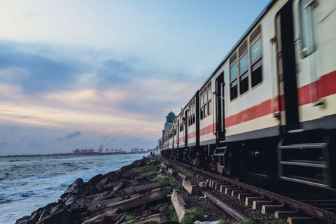 Colombo: Galle Day Tour Coastal Train Ride with Female Guide