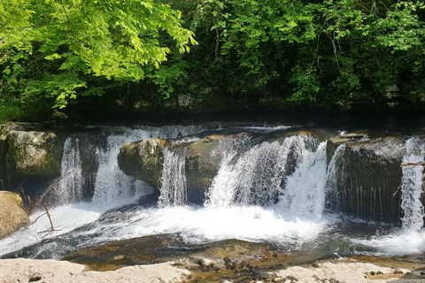 Tbilisi: Private Transfer to Batumi with Guided Tour