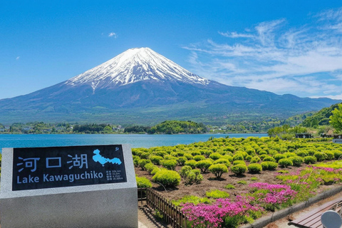 Tokyo: Mt Fuji & Oishi Park, Oshino Hakkai, Chureito Pagoda Free Karaage Chicken Set | Tokyo Station 8:00AM