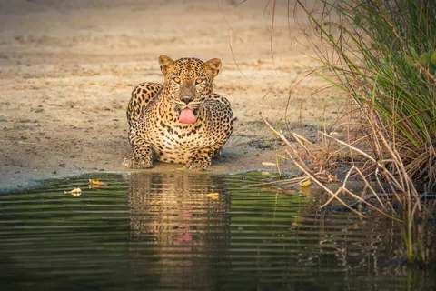 Sri Lanka: 10-Day Private Tour with 4*, Half-Board Hotels