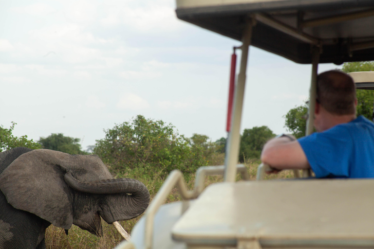 Drie (03) dagen live door de aantrekkingskracht van Tanzania.