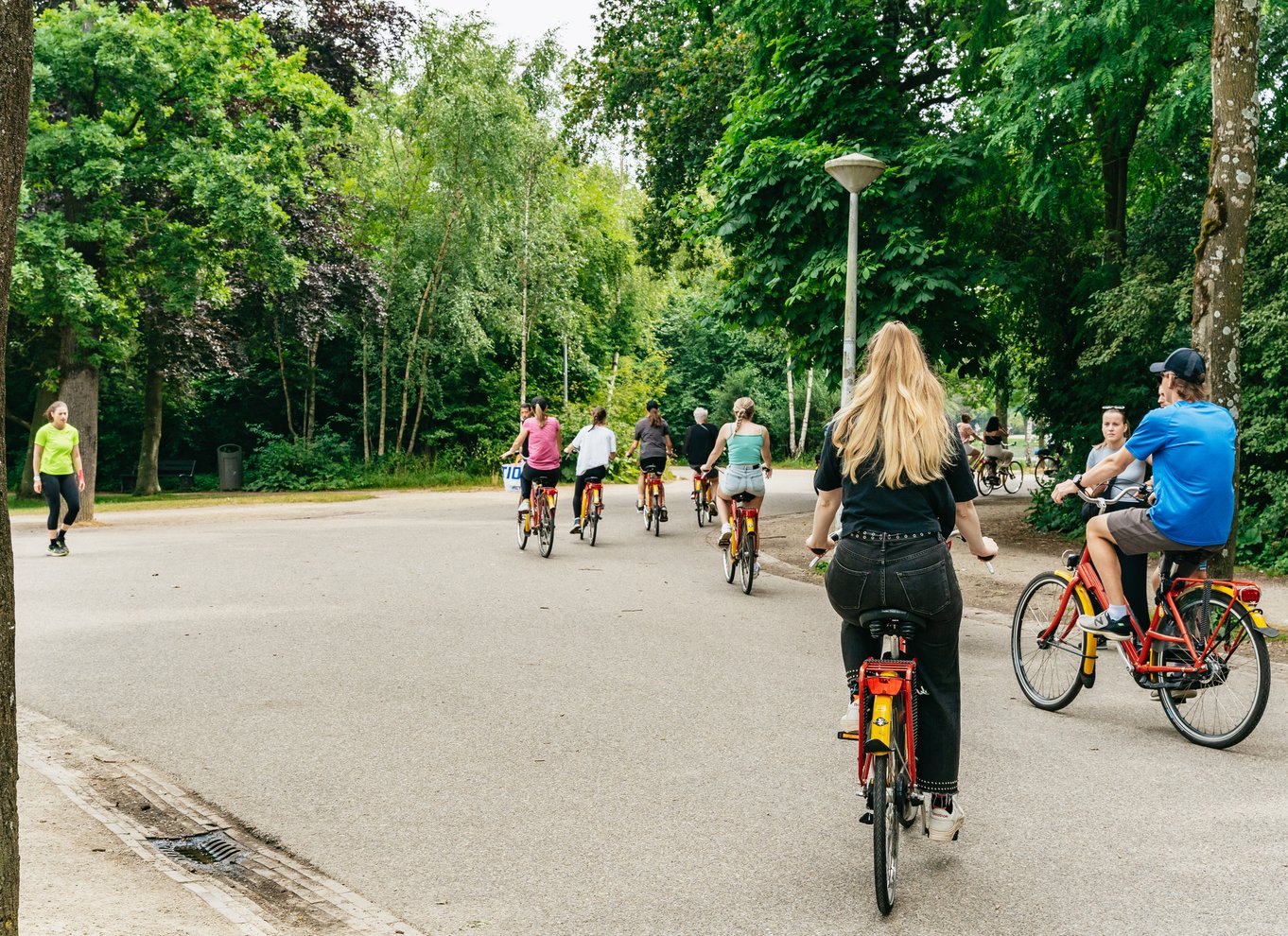 Amsterdam: Guidet byrundvisning i centrum i EN/DE/FR/ES