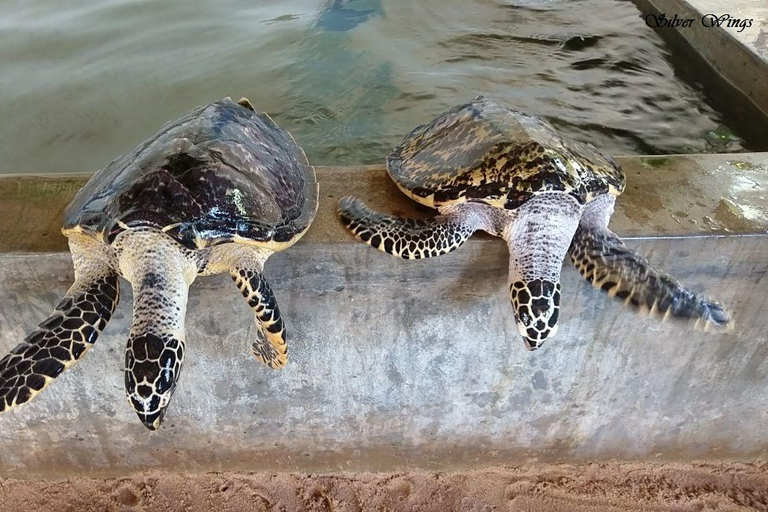 Sri Lanka: 15-daagse rondreis met vakantietijd