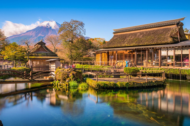 Tokio: tour privado personalizable de 2 días con traslado al hotelTour por la ciudad de Tokio y el Monte Fuji: Conductor y Guía