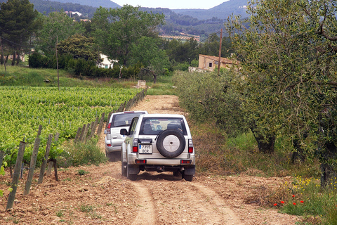 Catalogna: Visite alle cantine uniche e su misura