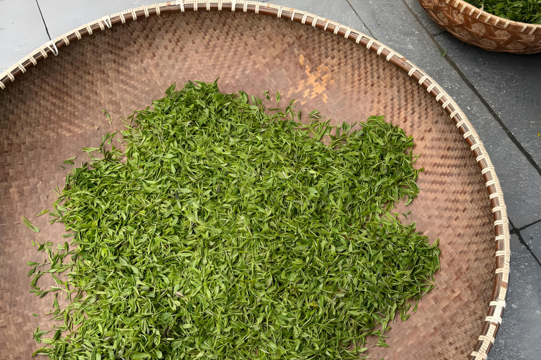 Hangzhou Tea Heritage: A Master-led Tea Harvest & Whisking