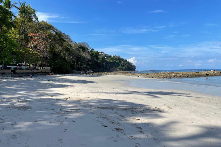 Playa Mantas: Tour guiado de mergulho com snorkel pela manhã perto da praia de JacóPraia Mantas: Tour guiado de mergulho com snorkel pela manhã perto da praia de Jacó