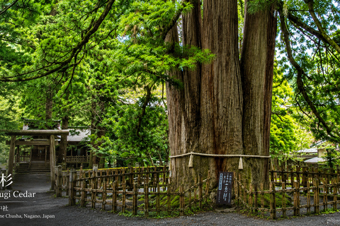 Tokyo to Nagoya | 3 Day Karuizawa & Nagano Highlands Journey