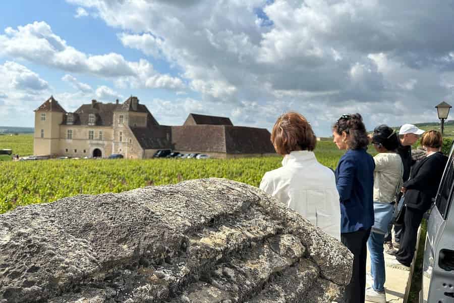 Wijntour van een halve dag door de Côte de Nuits met proeverijen