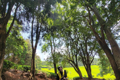 Nairobi: Tea Farm Photography Tour with Tasting