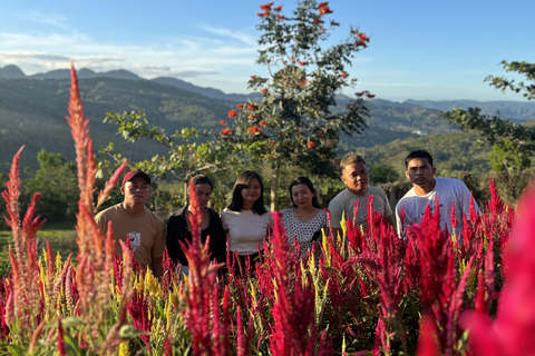 Cebu City Heritage Tour with Sirao Flower Garden