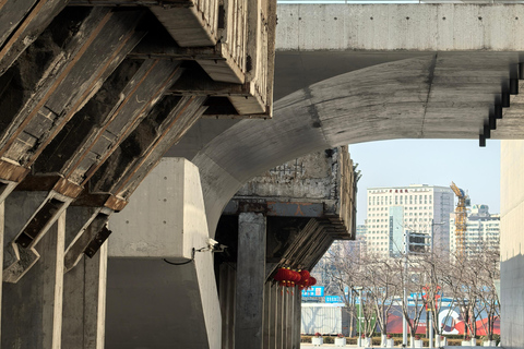 جولة دراجات/جولة في مدينة شنغهاي في نيو بوند وتجربة الحياة المحلية