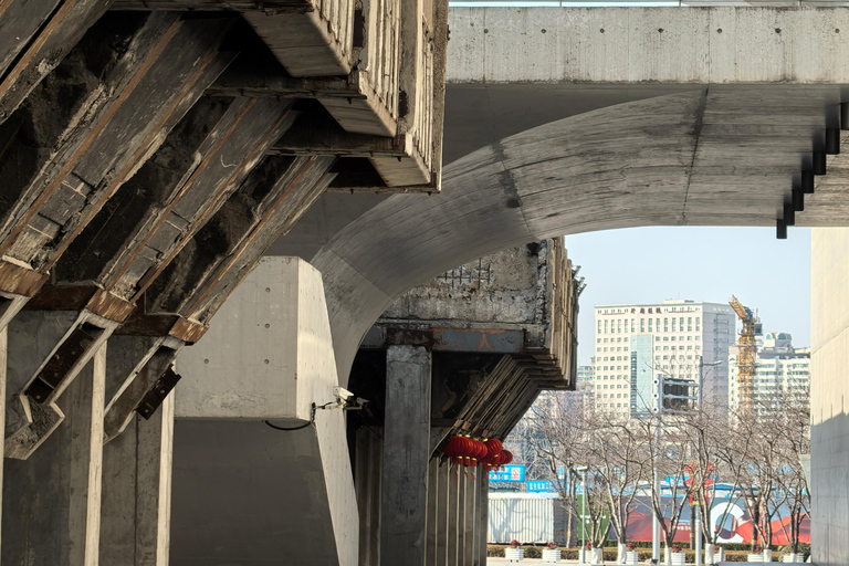 جولة دراجات/جولة في مدينة شنغهاي في نيو بوند وتجربة الحياة المحلية