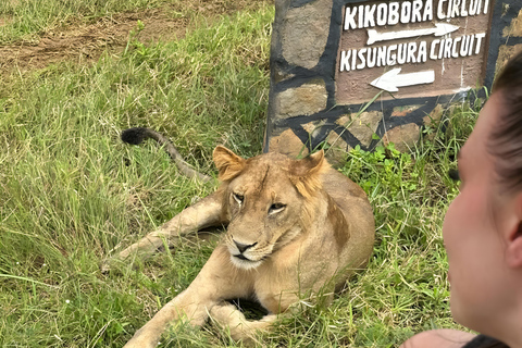 Zanzibar: Aventura de Safari de 3 dias no Parque Nacional Mikumi