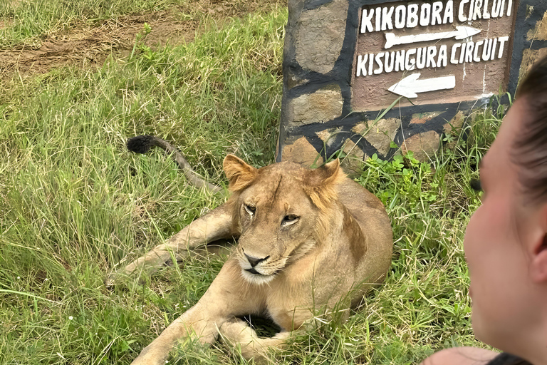 Zanzibar: 3-dagars safariäventyr till Mikumi nationalpark