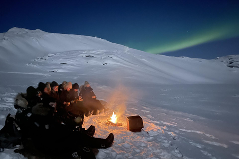 Björkliden/Abisko: Wycieczka skuterem śnieżnym nocnym niebem